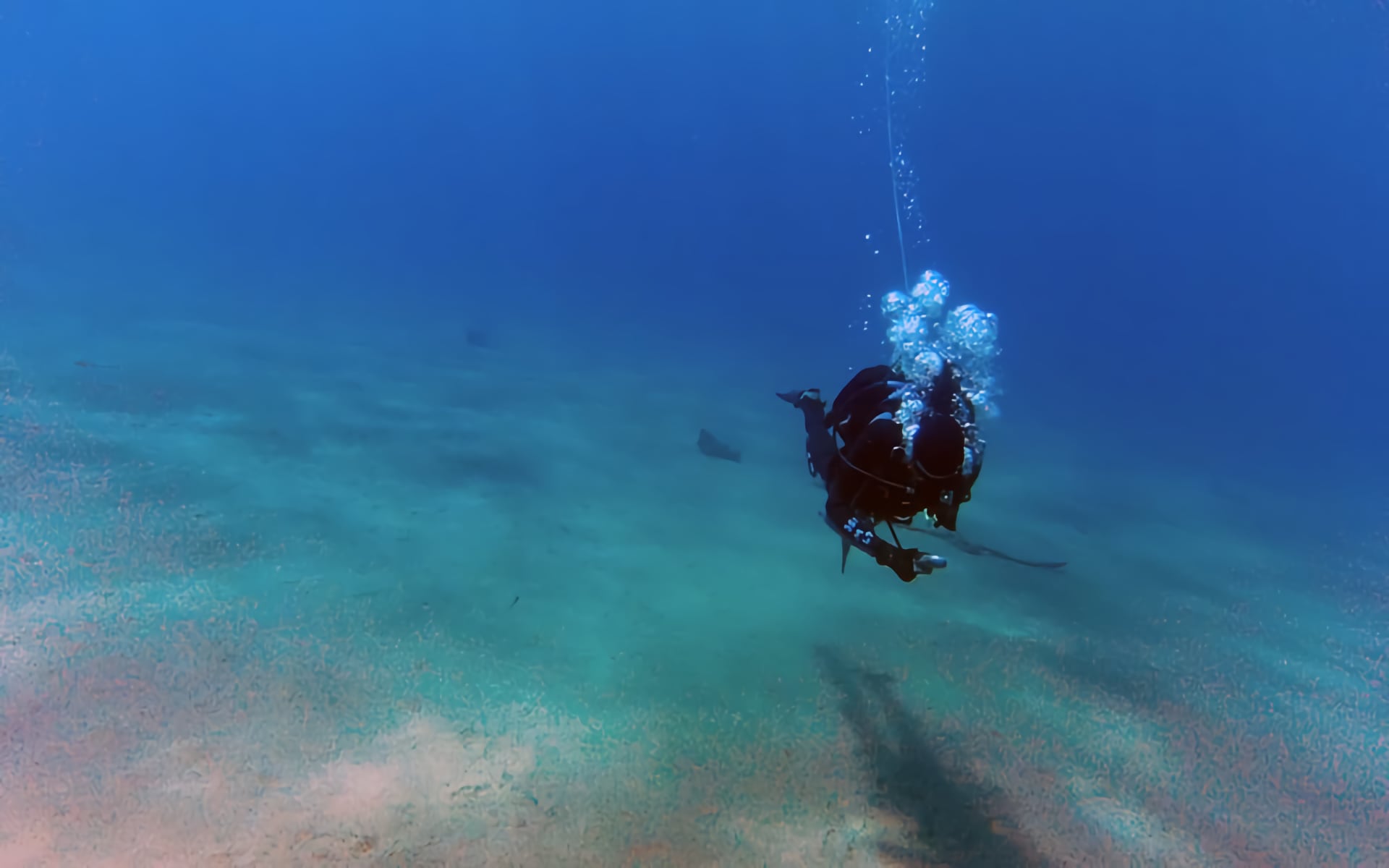 Scuba Diving